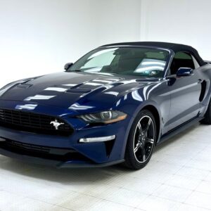 2019 ford mustang