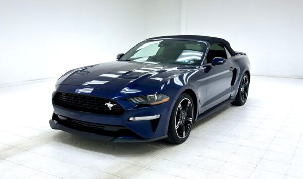 2019 ford mustang